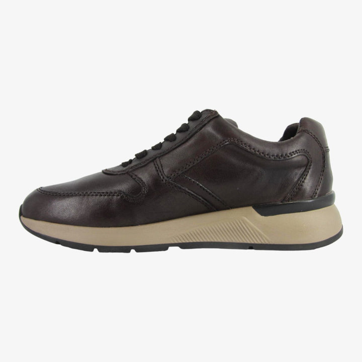 Valleverde 36842A stringata marrone
